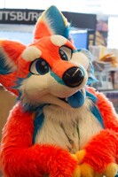 AC2014 - Mango dog