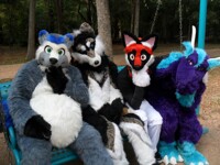 THE THINKING FURS