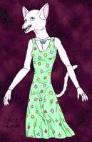 Willow's sundress