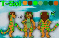 T-Sol Ref 