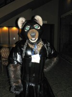 Travis the Pine Marten at AFF '08