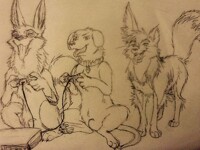 Chillin With Two Canines (Gift For Aoshi2012)