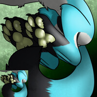 paw icon (KaineOrren:
