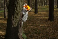 Hunting for Rabbit 4