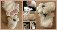Carderloom Paws