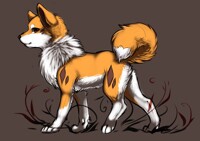 Walk