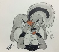 Growth by donations: Day 4