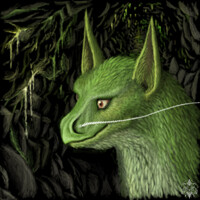 Tani dragon portrait