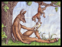 Musk deer and the sportive lemur Fin