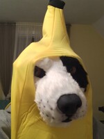 BANAN