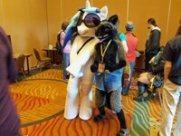 Silver Fox and the Pony. 