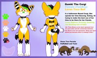 Gumki The Corgi 2014