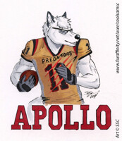 apollowolf Badge Raffle Prize