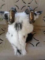 Seff's Cowolf suit (Head) Done ~back closed~