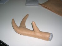 Antler prop commission