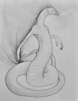 Finished Sketch--Power Serpentine