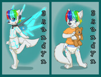 Double side badge for Rainfurrest