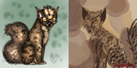 Spottyn now and then