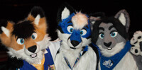 Delaware Furbowl 55 - Toby, Flacier, and Bakani!