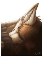 Fen