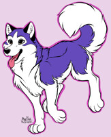 Happy Husky