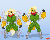 Fox Mccloud Transformation 4 of 4