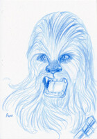 Not Wise to Upset A Wookie