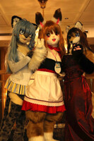 Mdnight furry girls