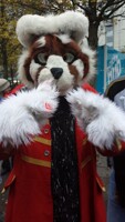 Panda Paws