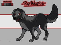 Pup Adopt 2 [Open]