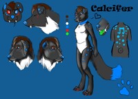 Calcifer Sketchy Ref