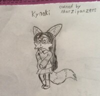 Kynoki
