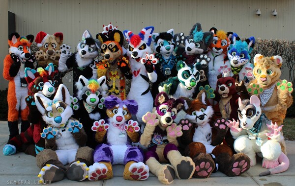 Userpage of phoenixwolfsuits -- Fur Affinity [dot] net