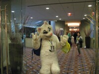 MFF 2014 14