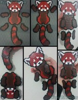 Red Panda Ragdoll