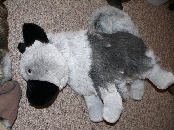 keeshond plush