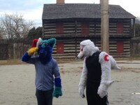 Furs in the Fort