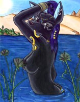 Darkside of The Nile