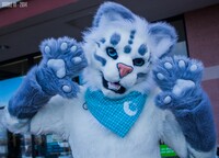 Petco Fundraiser [2]