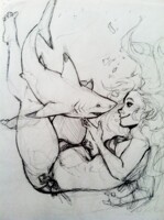 Blacktip Friendship