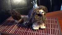 Custom Kritter Auction