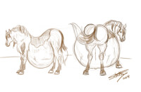 Horse Concept