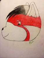 Daxter