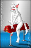 Naturally Winter on a Horse