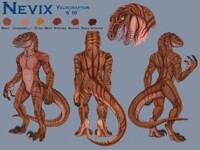 Nevix Reference Revamp
