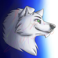 Nordsee Wolf 