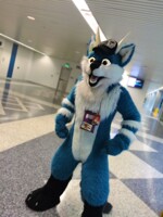 Kai the Dirdwolf: Standing Proud!