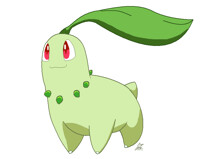 Chikorita