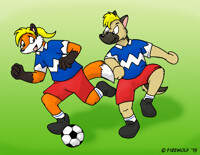 Cub soccer