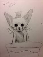 Meet top hat Toby 